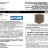 YORK INTERNATIONAL CORP. – YFE, YCE and YCG UNITS
